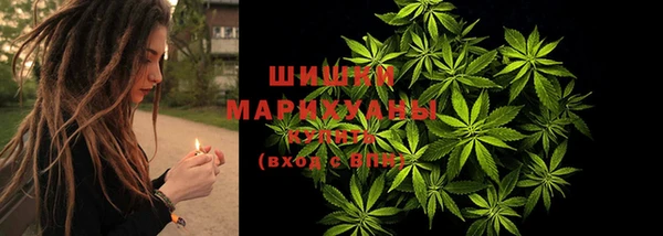 ПСИЛОЦИБИНОВЫЕ ГРИБЫ Семёнов