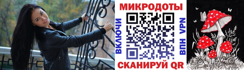 Галлюциногенные грибы Psilocybe  купить   Хабаровск 