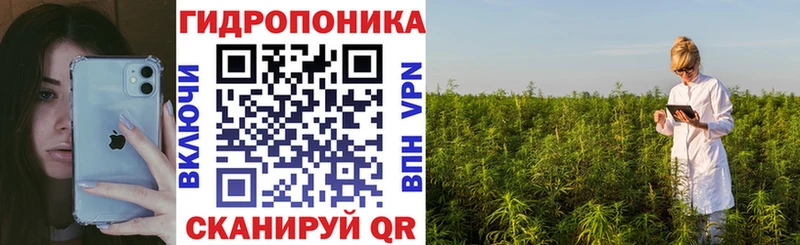 Бошки Шишки VHQ  Хабаровск 